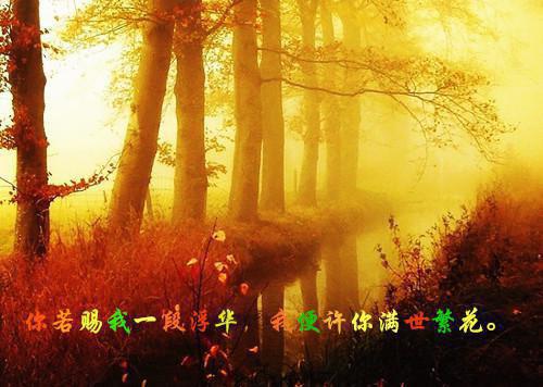 (番外)+(全文)良辰好景，不负清风唯负我txt下载阅读_（傅景山秦清妍饶曼凝）良辰好景，不负清风唯负我最新章节列表_笔趣阁（傅景山秦清妍饶曼凝）