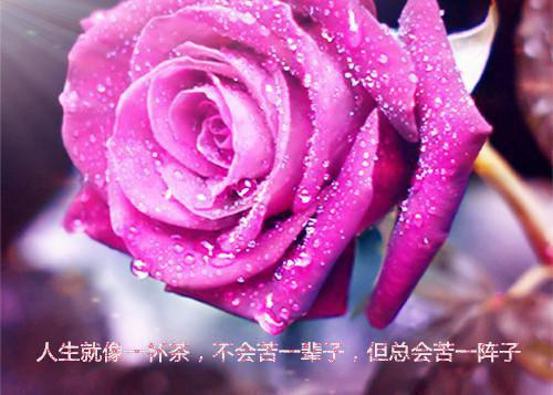 前世尹芊芊被渣男迷惑在线TXT尹芊芊厉景煜