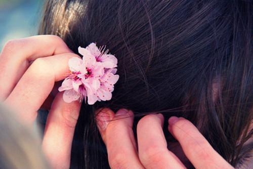 白首无悔坠梦楼：结局+番外优质全章最新章节列表_白首无悔坠梦楼：结局+番外优质全章全文免费阅读(沈修文陆知意)