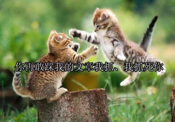 考上985的录取通知书被我妈偷走了！晓晴大姑全本免费小说目录试读