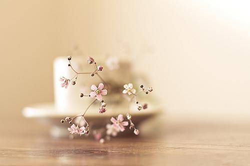 爱你怎么能了：节选高光片段速递‌精彩分享整本阅读（贺以年沈慕橙）