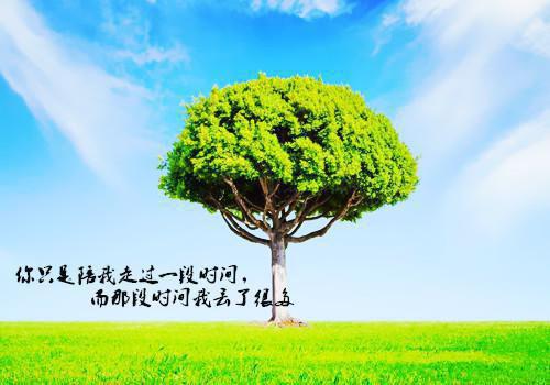 全章节小说硬核助攻主角为赵微微周泽阅读