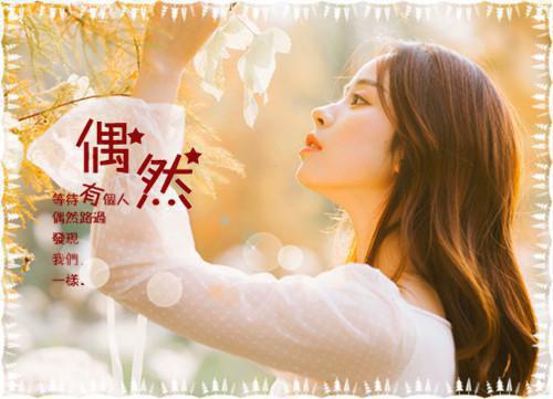 陆沉舟沈意欢：人气节选已完结_陆沉舟沈意欢：人气节选最新章节