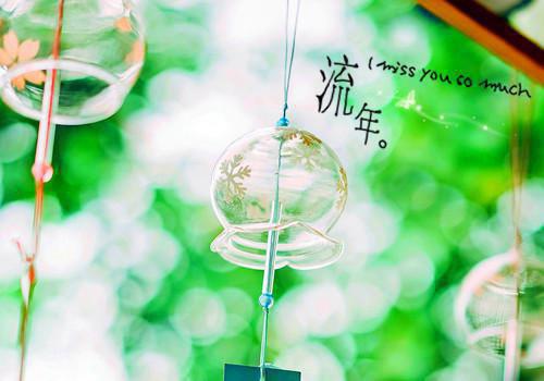 银月倾洒情更怯（顾若棠江宴川）全章免费版阅读