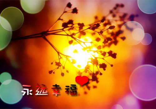 我与渣夫换身体，冷眼看他哭唧唧（闻昭,应是,府医）全文浏览_我与渣夫换身体，冷眼看他哭唧唧全文浏览