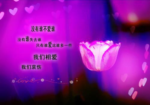 (番外)+(全文)盛景如诗不歇：热文_(盛景如诗不歇：热文)顾崇高夏凌霜最新章节列表_笔趣阁（盛景如诗不歇：热文）