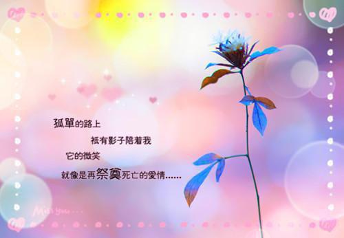 全家十四口突然血管破裂而亡洪嘉嘉李博成推荐完本_已完结全家十四口突然血管破裂而亡（洪嘉嘉李博成）