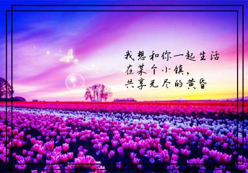 五十二将战死，无奈嫡女替父出征「免费小说」凤九卿秦凌风全集阅读
