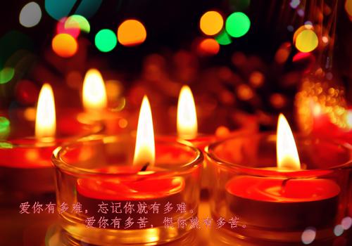 完结文落青梅,佛前几度相思泪免费优质全章最新章节列表_完结文落青梅,佛前几度相思泪免费优质全章全文免费阅读（宋佳音陆景琛）