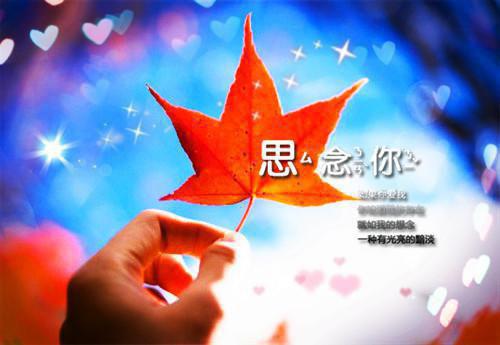 攻略失败后，我再也不爱了：精品篇（楚幼宁贺凌宇）全文免费_（楚幼宁贺凌宇）攻略失败后，我再也不爱了：精品篇后续阅读（楚幼宁贺凌宇）