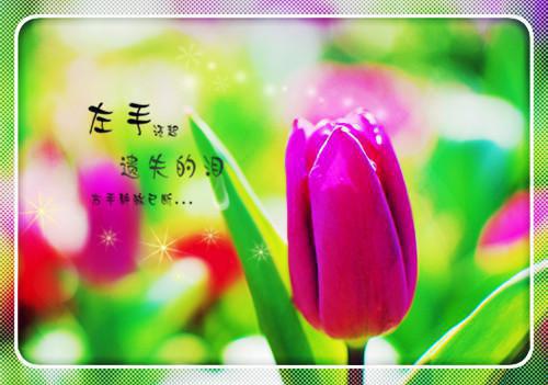 完结文妻子害我死无葬身之地最新章节列表_完结文妻子害我死无葬身之地全文免费阅读（方凝韩嘉）