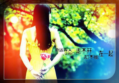 爸爸书房里的秘密：下载最新小说（苏倩林霜）全文阅读