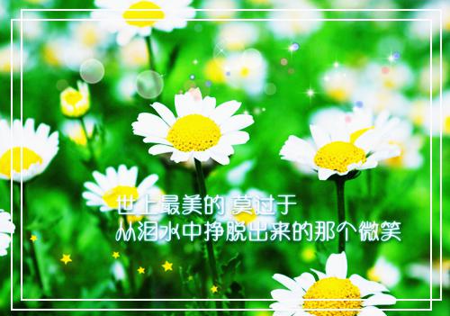 免费小说精品推介豪门:小公主就得放心尖上宠by月小弯全章节阅读