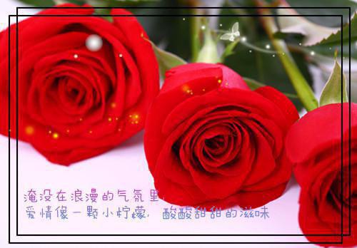月光不照昔时梦：全本小说推荐顾知嫣季晏礼一口气看完_书荒时期必读情感力作顾知嫣季晏礼《月光不照昔时梦：全本小说推荐》