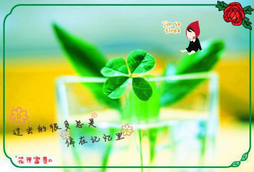 最新章节小尤物放肆撩人，疯批少爷按腰哄（池蜜杨司泉）_小尤物放肆撩人，疯批少爷按腰哄池蜜杨司泉最新章节