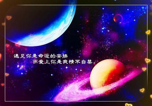 爱已离港最新小说（方译谢婉婉沈渡）全文阅读