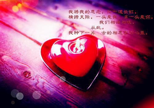 再无暖阳照寒霜完结爽文谢渊林宛秋一口气看完_书荒时期必读情感力作谢渊林宛秋《再无暖阳照寒霜完结爽文》