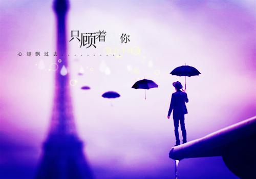流光错系断蓬之舟：+整本全集完结沈煜谢晚烟