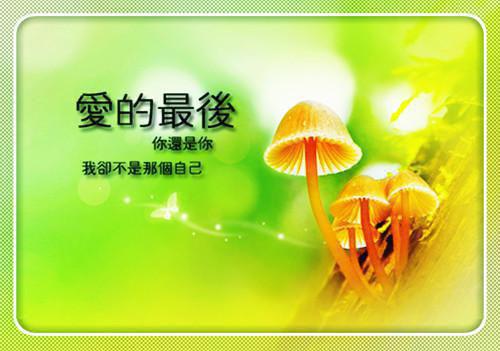 完结文穿进斩神后，解锁武神躯，镇守大夏精编之作最新章节列表_完结文穿进斩神后，解锁武神躯，镇守大夏精编之作全文免费阅读（阎罗中,才是,向渊）