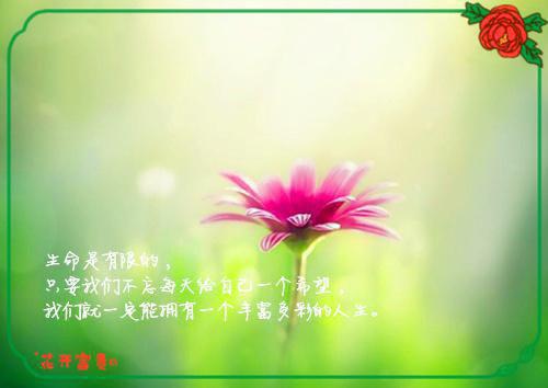 全文浏览重生在高考前，我笑着送小青梅和小混混去庆祝成人礼（沈晏安乔念）_重生在高考前，我笑着送小青梅和小混混去庆祝成人礼（沈晏安乔念）全文结局