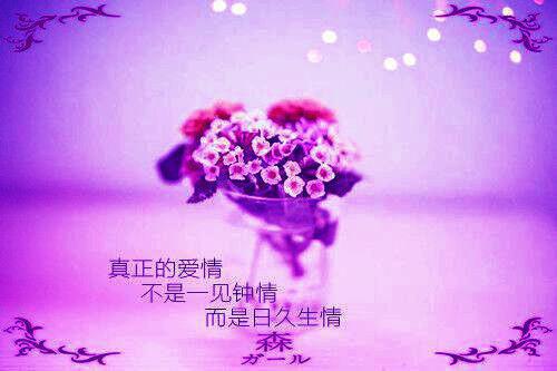 医途天骄元拾,姜瑶推荐完本_已完结医途天骄（元拾,姜瑶）