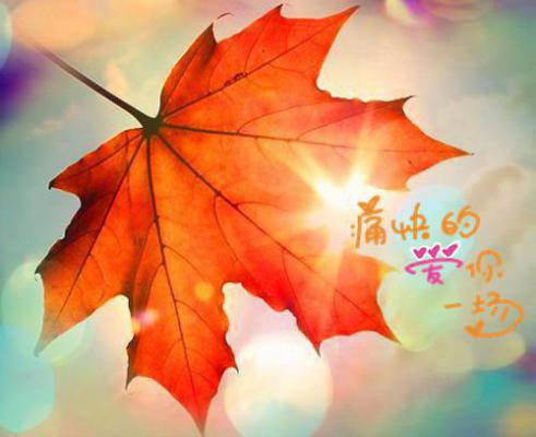一念浮屠的小说我都成圣子了，才发现老婆是掌教陈长生夏侯红玉全文在线阅读
