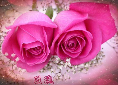 (番外)+(全文)被甩后，我神医的身份曝光了免费下载阅读_(陆凡楚欣然)陆凡楚欣然最新章节列表_笔趣阁（陆凡楚欣然）