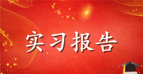 个人实习报告