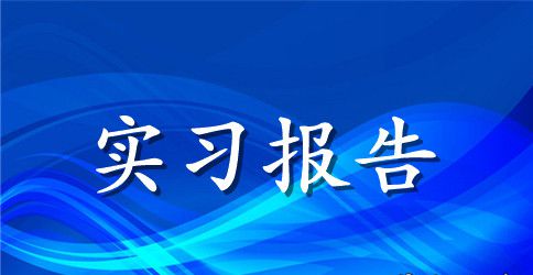 保险公司的实习报告范文