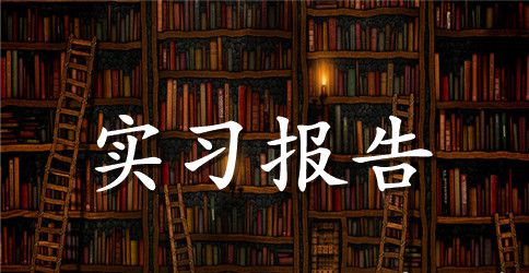 物流认识实习报告
