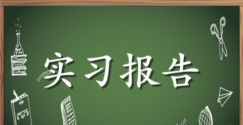 最新顶岗实习报告范文