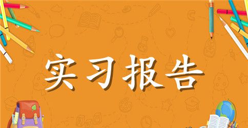 关于暑期实习报告4篇