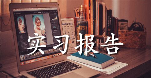 有关工作实习报告4篇