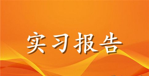 【必备】工作实习报告3篇