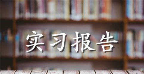大三暑假实习报告12篇