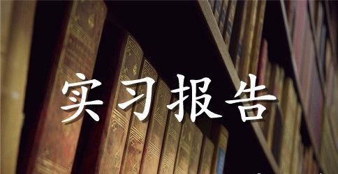 【精华】毕业实习报告模板汇编五篇
