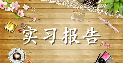 实用的大学生实习报告范文锦集4篇