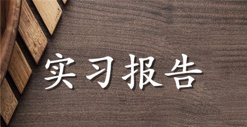 毕业实习报告范文集锦四篇