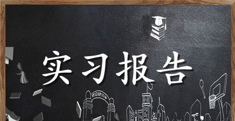【精华】大学生实习报告模板集合七篇