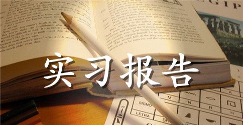 【精品】大学生实习报告合集五篇