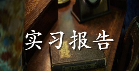 【精选】毕业实习报告模板锦集五篇