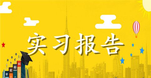 【实用】专业实习报告模板汇总6篇