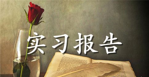 实用的毕业实习报告模板集合6篇