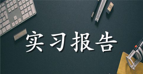 【必备】毕业实习报告范文集合7篇