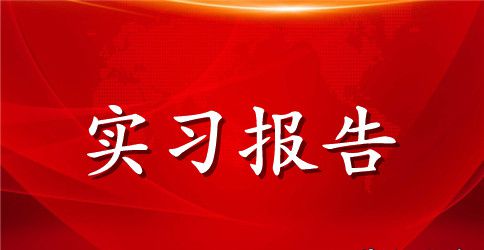 有关专业实习报告模板合集10篇