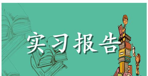 大学生实习报告范文汇总9篇