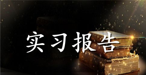 关于顶岗实习报告模板汇编6篇