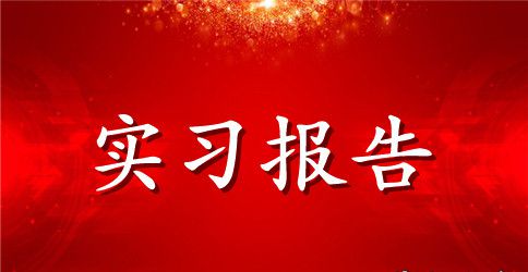 【精选】毕业实习报告范文合集5篇