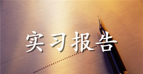 大学物流专业毕业生实习报告