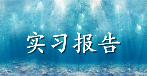 药店销售员实习报告范文